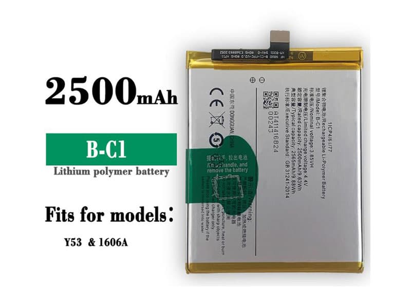 B-C1 battery