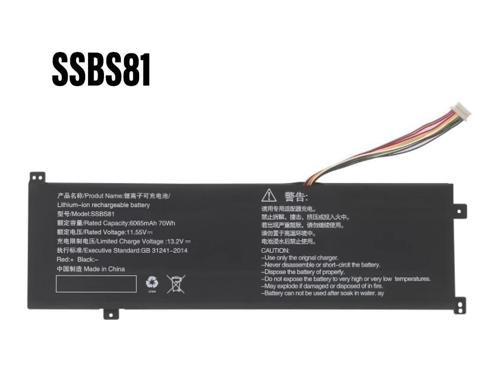 SSBS81 batterie